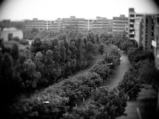 _4215503-1