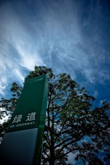 绿道