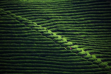 _60A9807