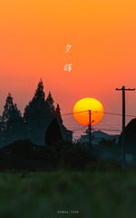1000014565