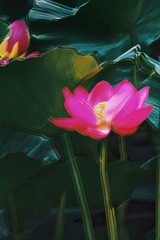 001