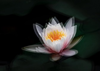 96266B13-0332-4661-BD03-2E29292104B1/L0/001
