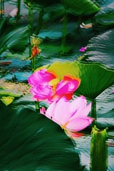 001