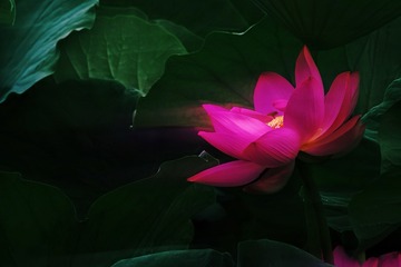 001