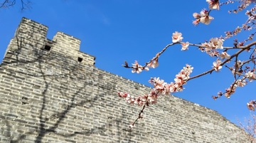 爷孙俩