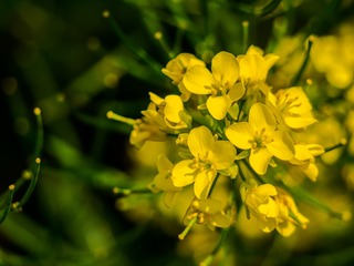 P1150162