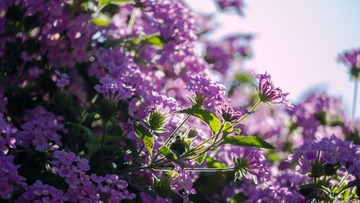 P1150537