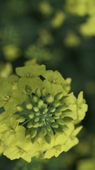 D73BF5AF-45E2-4346-BF5C-C03ED1462E4C/L0/001