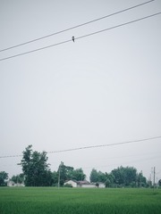 2016-06-25 09.03.19 1