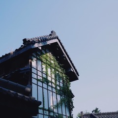 476728
