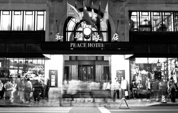 P1000715.jpg