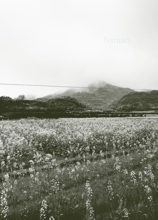 陌生的风景<br />
第一次发觉，调整照片就像画画一样，这里加点，那里减减··