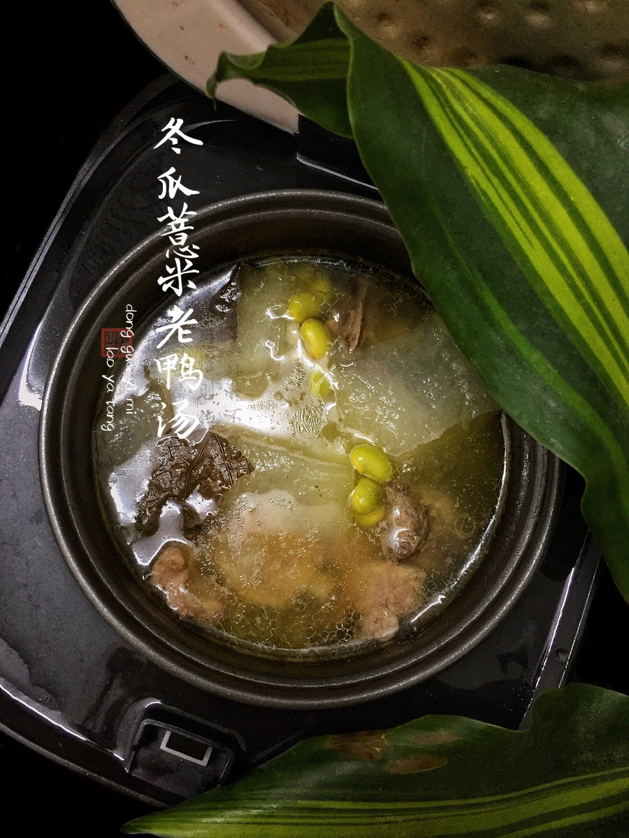 冬瓜薏米老鸭汤