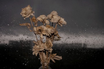 408141
