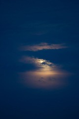 月海1