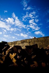 IMG_8640.jpg