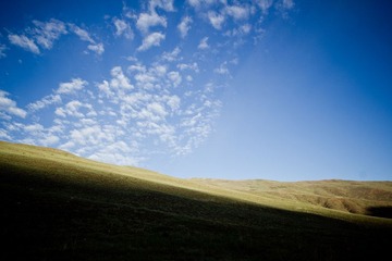 IMG_8630.jpg
