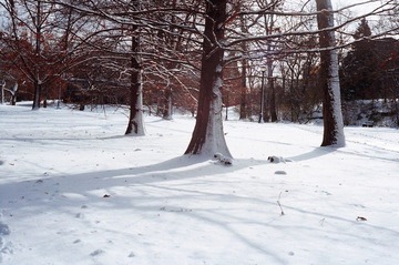 Snow world