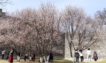 @Beijing 798