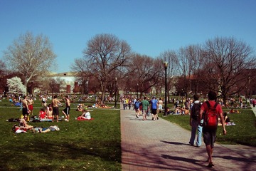Busy oval