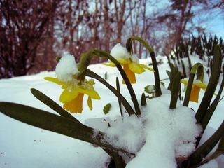 Last piece of winter