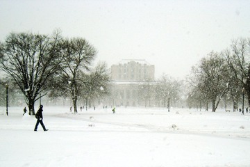 Main library & Oval
