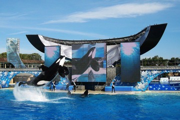 SHAMU!!!
