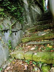 DSC00601