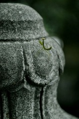 灵隐寺