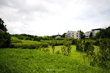 DSC_0049.jpg