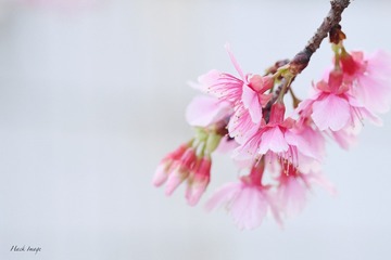 9B64F682-023B-42A2-AF5A-27814B196610/L0/001