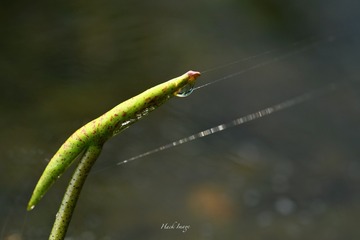 D36312C7-E84D-48C1-B551-58CB307515A1/L0/001