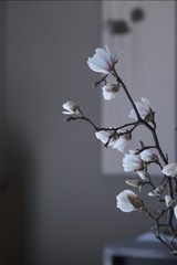 979B9B35-E474-439D-B4F1-182356CCCA92/L0/001