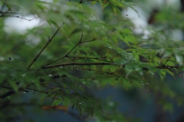 0FE3C5E6-C1D2-4178-A9E8-376E99DDBF70/L0/001