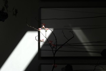 23F25CE3-0CEE-4C73-B15C-6600B1D22ED8/L0/001