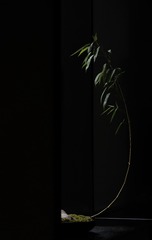 A24528F6-6550-44ED-A7A6-89A14F1C1222/L0/001