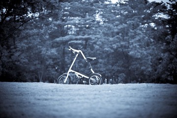 The bicycle