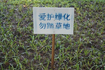 绿化