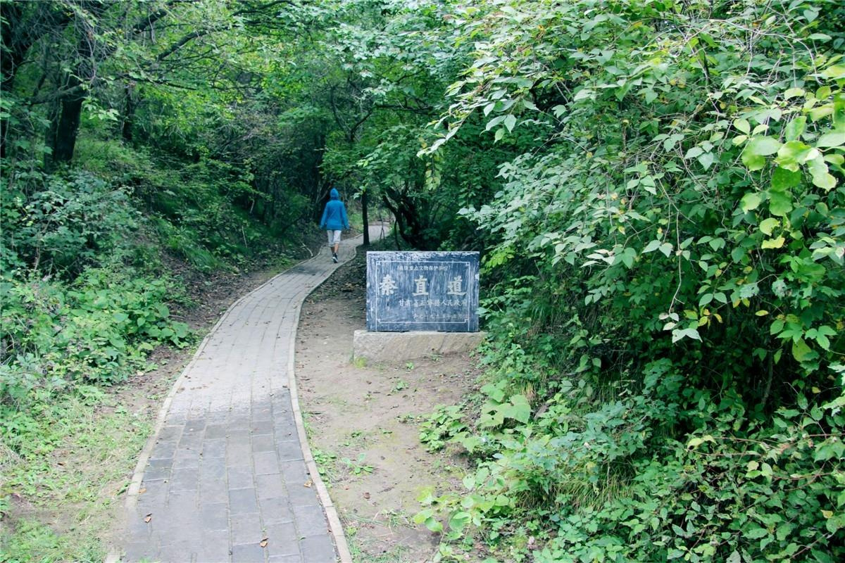 甘肃正宁子午岭秦直道和黄帝升天峰 - 龙只 - 图虫