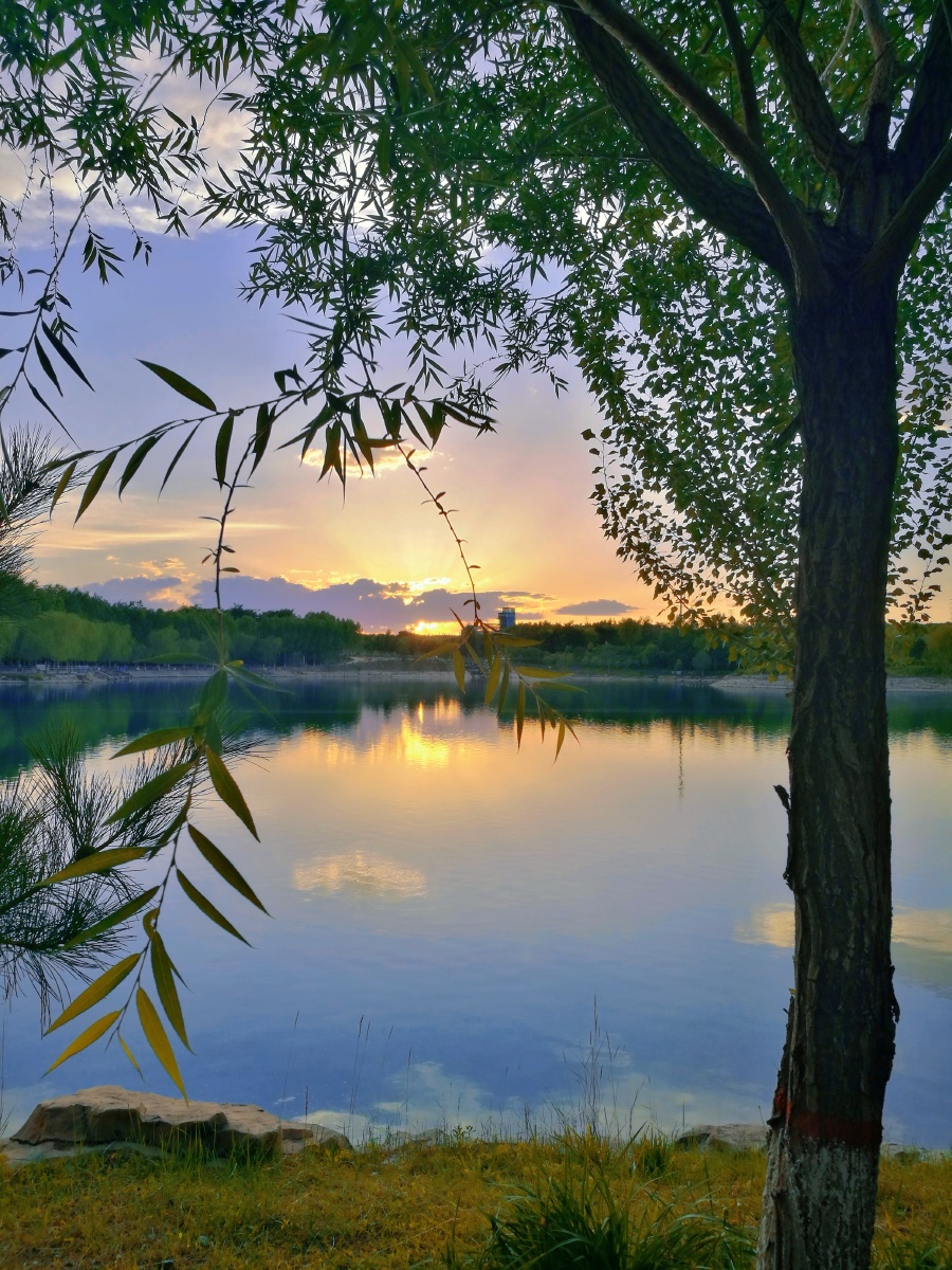 初夏时节甘肃省嘉峪关市南湖傍晚