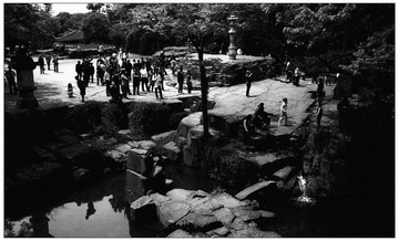 DSCN4177.jpg