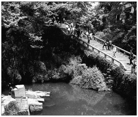 DSCN4190.jpg