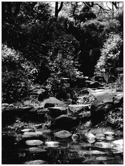 DSCN4198.jpg