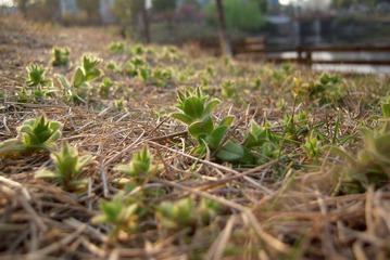 DSCN5612.JPG