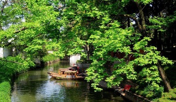 DSCN454.jpg