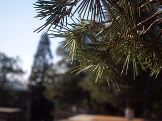 DSCN7488.jpg