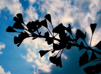 DSCN7843.JPG