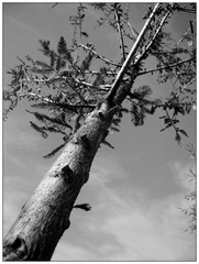 DSCN7333.jpg