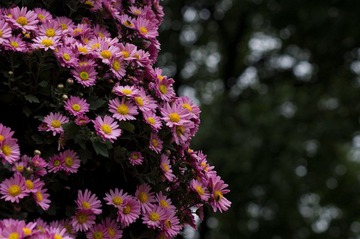 20111106-IMGP7101.jpg