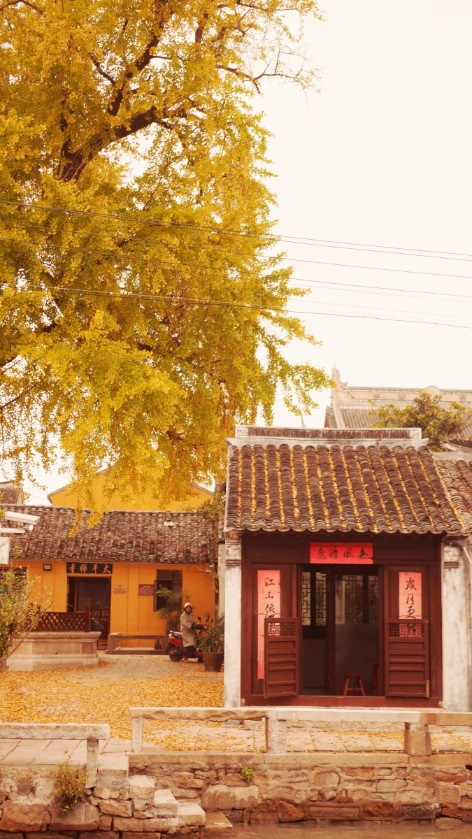 苏州61太平老街61太平禅寺落叶是秋冬的诗歌这棵相传南宋开封府